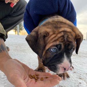 Meet your Posher, Kenny